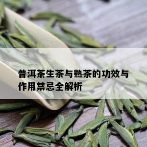 普洱茶生茶与熟茶的功效与作用禁忌全解析