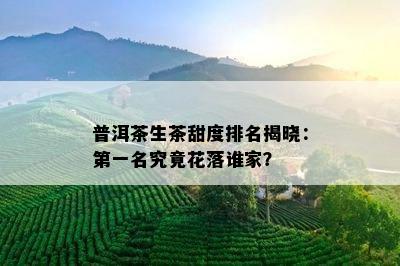 普洱茶生茶甜度排名揭晓：之一名究竟花落谁家？