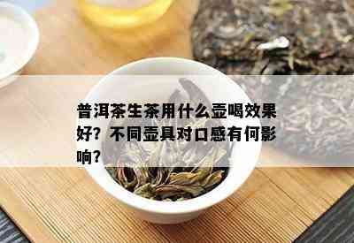 普洱茶生茶用什么壶喝效果好？不同壶具对口感有何影响？