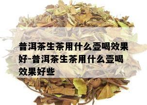 普洱茶生茶用什么壶喝效果好-普洱茶生茶用什么壶喝效果好些