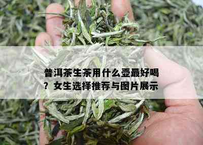 普洱茶生茶用什么壶更好喝？女生选择推荐与图片展示