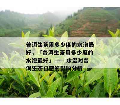 普洱生茶用多少度的水泡更好，「普洱生茶用多少度的水泡更好」—— 水温对普洱生茶口感的影响分析