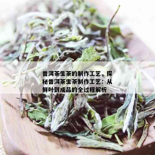 普洱茶生茶的制作工艺，探秘普洱茶生茶制作工艺：从鲜叶到成品的全过程解析