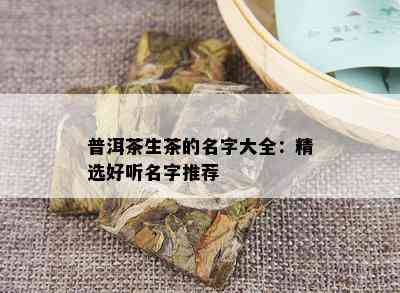 普洱茶生茶的名字大全：精选好听名字推荐