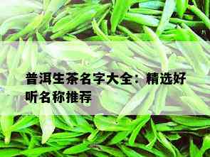 普洱生茶名字大全：精选好听名称推荐