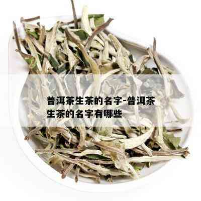 普洱茶生茶的名字-普洱茶生茶的名字有哪些