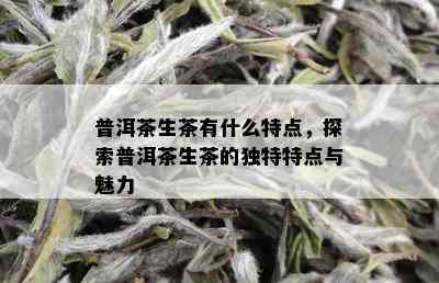 普洱茶生茶有什么特点，探索普洱茶生茶的独特特点与魅力