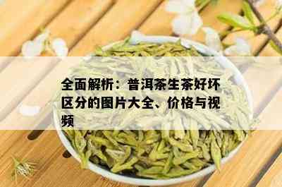 全面解析：普洱茶生茶好坏区分的图片大全、价格与视频