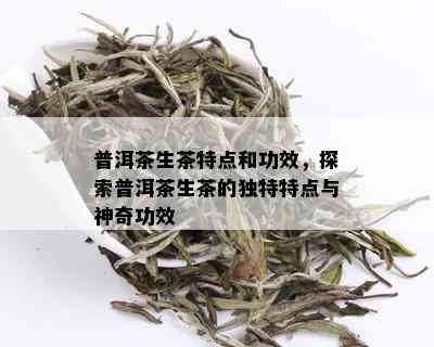 普洱茶生茶特点和功效，探索普洱茶生茶的独特特点与神奇功效