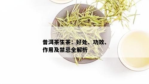 普洱茶生茶：好处、功效、作用及禁忌全解析