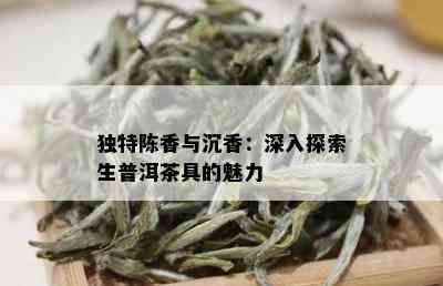 独特陈香与沉香：深入探索生普洱茶具的魅力