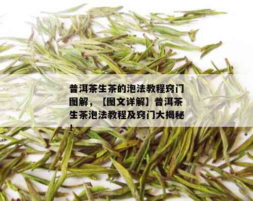 普洱茶生茶的泡法教程窍门图解，【图文详解】普洱茶生茶泡法教程及窍门大揭秘！