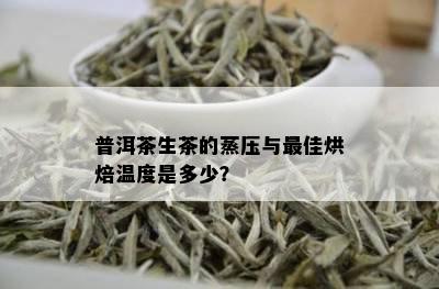 普洱茶生茶的蒸压与更佳烘焙温度是多少？