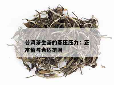 普洱茶生茶的蒸压压力：正常值与合适范围