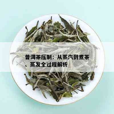 普洱茶压制：从蒸汽到煮茶、蒸发全过程解析