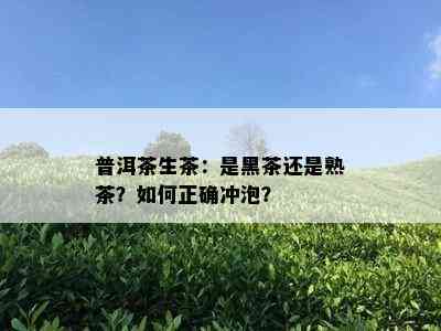 普洱茶生茶：是黑茶还是熟茶？如何正确冲泡？