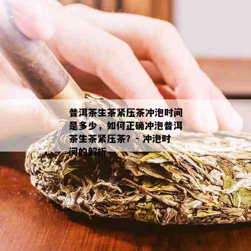 普洱茶生茶紧压茶冲泡时间是多少，如何正确冲泡普洱茶生茶紧压茶？- 冲泡时间的解析