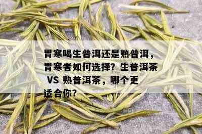 胃寒喝生普洱还是熟普洱，胃寒者如何选择？生普洱茶 VS 熟普洱茶，哪个更适合你？