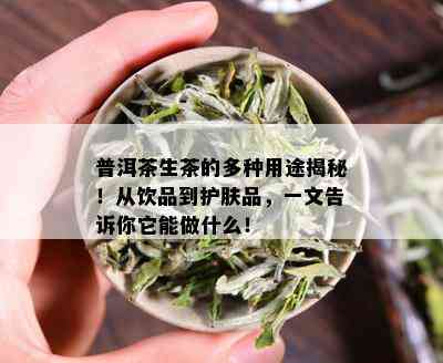 普洱茶生茶的多种用途揭秘！从饮品到护肤品，一文告诉你它能做什么！