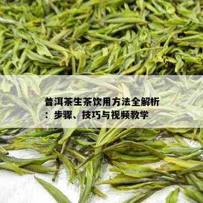 普洱茶生茶饮用方法全解析：步骤、技巧与视频教学