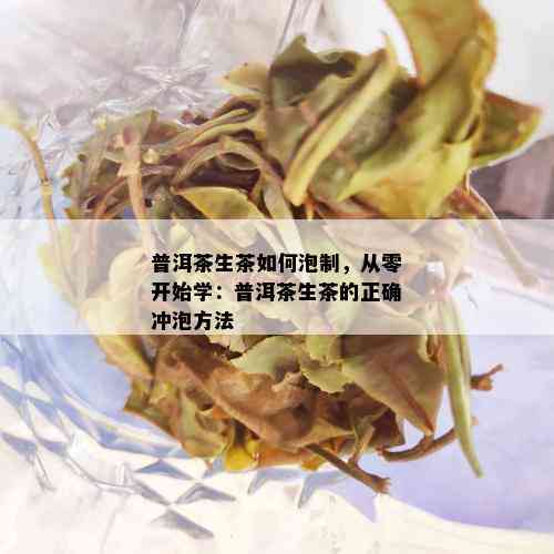 普洱茶生茶如何泡制，从零开始学：普洱茶生茶的正确冲泡方法