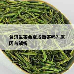 普洱生茶会变成熟茶吗？原因与解析