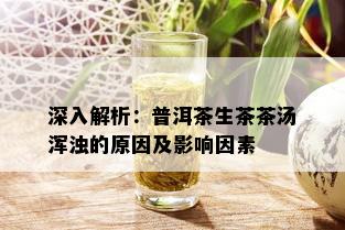 深入解析：普洱茶生茶茶汤浑浊的原因及影响因素