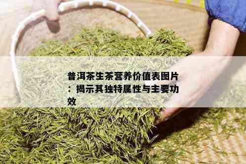 普洱茶生茶营养价值表图片：揭示其独特属性与主要功效