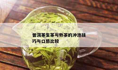 普洱茶生茶与熟茶的冲泡技巧与口感比较