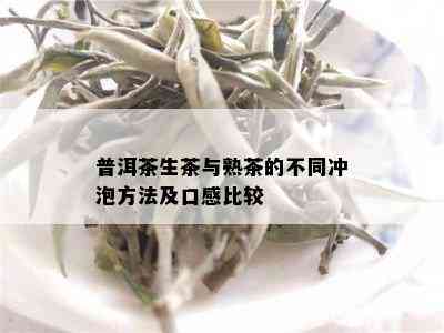 普洱茶生茶与熟茶的不同冲泡方法及口感比较