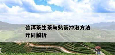 普洱茶生茶与熟茶冲泡方法异同解析