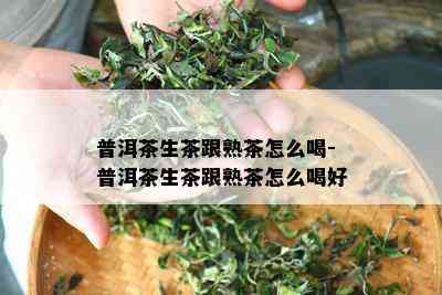 普洱茶生茶跟熟茶怎么喝-普洱茶生茶跟熟茶怎么喝好