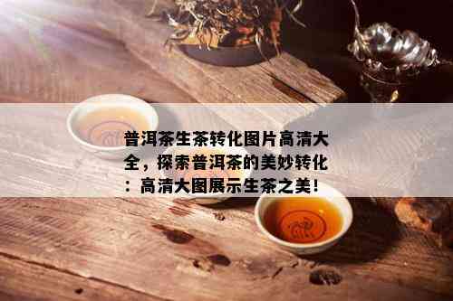 普洱茶生茶转化图片高清大全，探索普洱茶的美妙转化：高清大图展示生茶之美！