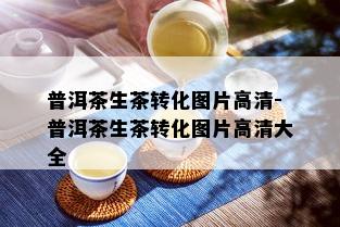 普洱茶生茶转化图片高清-普洱茶生茶转化图片高清大全