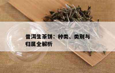 普洱生茶饼：种类、类别与归属全解析