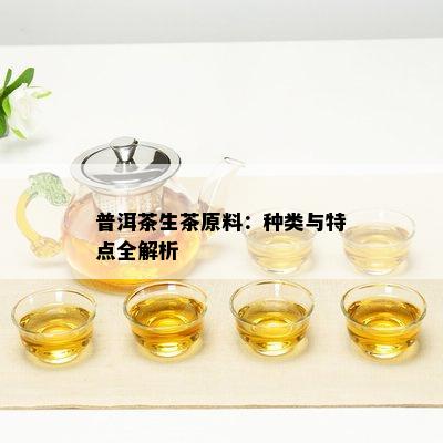 普洱茶生茶原料：种类与特点全解析