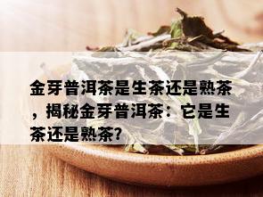 金芽普洱茶是生茶还是熟茶，揭秘金芽普洱茶：它是生茶还是熟茶？