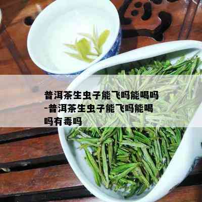 普洱茶生虫子能飞吗能喝吗-普洱茶生虫子能飞吗能喝吗有吗