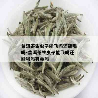 普洱茶生虫子能飞吗还能喝吗-普洱茶生虫子能飞吗还能喝吗有吗