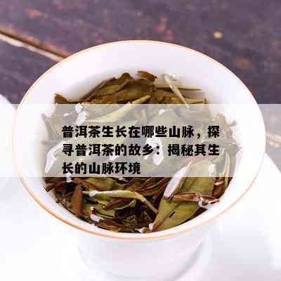 普洱茶生长在哪些山脉，探寻普洱茶的故乡：揭秘其生长的山脉环境