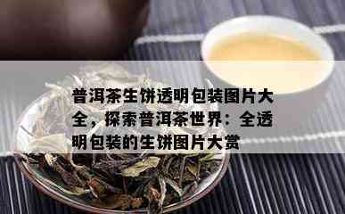 普洱茶生饼透明包装图片大全，探索普洱茶世界：全透明包装的生饼图片大赏