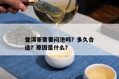 普洱茶需要闷泡吗？多久合适？原因是什么？