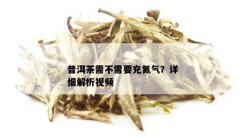 普洱茶需不需要充氮气？详细解析视频