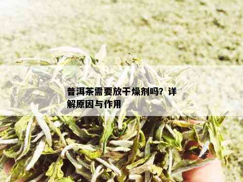 普洱茶需要放干燥剂吗？详解原因与作用