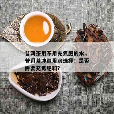 普洱茶用不用充氮肥的水，普洱茶冲泡用水选择：是否需要充氮肥料？