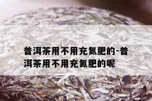 普洱茶用不用充氮肥的-普洱茶用不用充氮肥的呢