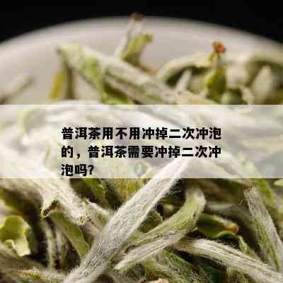 普洱茶用不用冲掉二次冲泡的，普洱茶需要冲掉二次冲泡吗？