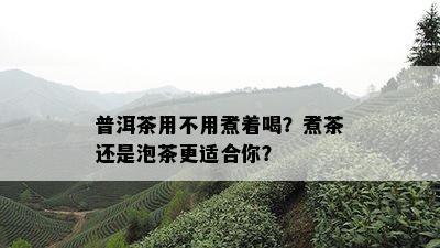 普洱茶用不用煮着喝？煮茶还是泡茶更适合你？