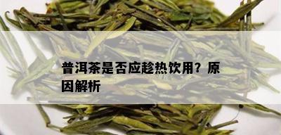 普洱茶是否应趁热饮用？原因解析