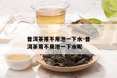 普洱茶用不用泡一下水-普洱茶用不用泡一下水呢